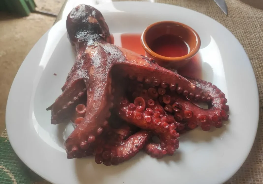 Octopus – Pulpo in Tenerife
