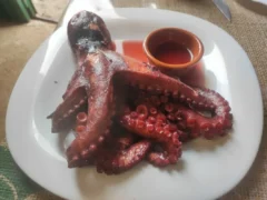 Octopus – Pulpo in Tenerife